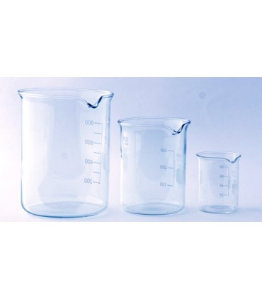 BEAKER GLASS LOW FORM