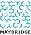 5-Methyl-2-pyridinol, 97%